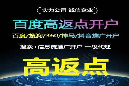 百度竞价排名案例：如何实现低成本高回报
